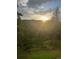 A bright sun highlights the meadow and forest of this rural backyard view at 21429 Trappers Trl, Morrison, CO 80465