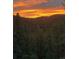 A vibrant sunset over a lush green forest, painting the sky with warm hues at 21429 Trappers Trl, Morrison, CO 80465
