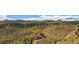 Scenic aerial view of home on a sprawling lot, surrounded by trees and natural beauty, with a long driveway at 97 Hedges Cir, Sedalia, CO 80135