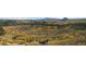 Overhead shot of mountain home in landscape with trees and scenic views of distant mountains at 97 Hedges Cir, Sedalia, CO 80135