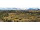 Aerial shot revealing a mountain home surrounded by vast greenery and distant mountain peaks at 97 Hedges Cir, Sedalia, CO 80135