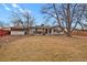 A backyard view shows a wood deck, large yard, and mature trees at 3175 Zinnia Ct, Golden, CO 80401