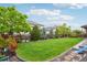 Large, well-manicured backyard featuring lush green grass, mature trees, and a fence for privacy at 6520 Empire Ave, Frederick, CO 80516