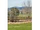 Lush backyard featuring a pond with mature trees and mountain views at 15274 W 64Th Ln # 206, Arvada, CO 80007