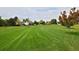 Expansive green space provides a serene backdrop and recreational opportunities near the property at 13441 Cherry St, Thornton, CO 80241