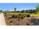 Landscaped community green space with walking paths at 48 Newport St, Denver, CO 80230