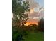 Serene backyard view with a vibrant sunset sky, lush trees, and garden at 1315 Tipperary St, Boulder, CO 80303