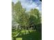 A relaxing backyard scene featuring a charming tree swing amidst lush greenery at 1315 Tipperary St, Boulder, CO 80303