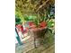 Cozy patio area with red cushioned seating and glass table under a vine covered pergola at 1315 Tipperary St, Boulder, CO 80303