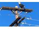 A majestic bald eagle perches atop a wooden utility pole against a clear blue sky at 575 Howling Cir, Elizabeth, CO 80107