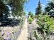 Beautifully landscaped backyard with a stone path leading to a charming vintage-style home at 1270 Havana St, Aurora, CO 80010