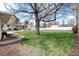 Spacious backyard with mature trees, patio area, and lush lawn at 100 Balsam St, Lakewood, CO 80226