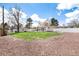 Large, grassy backyard with mature trees and a well-maintained lawn at 100 Balsam St, Lakewood, CO 80226