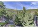 Picturesque view from the property showcasing lush trees and scenic mountain landscape at 180 Outpost Ln, Evergreen, CO 80439