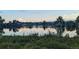 Picturesque pond surrounded by lush greenery, creating a serene natural landscape at 270 S Chase St, Lakewood, CO 80226