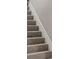 Carpeted stairway, freshly painted and ready to ascend at 118 S Dale Ct, Denver, CO 80219