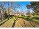Green backyard featuring mature trees providing shade on the lawn with a wooden fence surrounding the area at 6755 W 33Rd Ave, Wheat Ridge, CO 80033