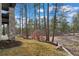 Lush backyard features mature trees and meticulous landscaping, complemented by stone retaining walls at 1207 Wildcat Bend Ct, Castle Rock, CO 80108