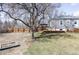 Spacious backyard featuring a large shade tree, deck, and lush lawn, great for outdoor activities at 2030 Cody St, Lakewood, CO 80215