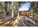 Exterior view of the log-sided home nestled among towering pine trees at 636 Chute Rd, Golden, CO 80403