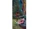 Close up of hummingbird at a feeder with colorful accents at 636 Chute Rd, Golden, CO 80403