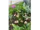 A variety of colorful flowers, including yarrow, sage, and dianthus, fill a beautiful flowerbed at 3278 S Lafayette St, Englewood, CO 80113