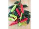 Colorful assortment of freshly picked peppers, highlighting the garden's diverse produce at 3278 S Lafayette St, Englewood, CO 80113