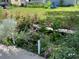 Charming front yard with flowers, greenery, blue and green Adirondack chairs on a green lawn at 3278 S Lafayette St, Englewood, CO 80113