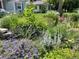 Lush front yard featuring vibrant perennials and daisies, adding a colorful touch to this inviting home at 3278 S Lafayette St, Englewood, CO 80113