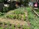 A charming fenced garden features organized rows of vibrant plants with a shed and seating area in the background at 3278 S Lafayette St, Englewood, CO 80113