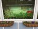 Close-up showcasing window boxes with flowers and plants growing behind a large window at 3278 S Lafayette St, Englewood, CO 80113