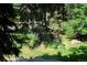A serene backyard view with a tranquil pond surrounded by lush greenery and mature trees at 4675 S Yosemite St # 205, Denver, CO 80237