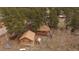 An aerial view of the log cabin and property featuring mature trees at 27888 Richmond Hill Rd, Conifer, CO 80433