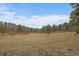 Spacious field surrounded by trees with a small structure visible in the distance under a partly cloudy sky at 27888 Richmond Hill Rd, Conifer, CO 80433
