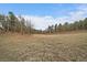 Expansive plot of land with a mix of grasses and a scattering of mature pine and aspen trees under a blue sky at 27888 Richmond Hill Rd, Conifer, CO 80433