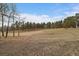 Land featuring a stand of young aspen trees on the edge of a large field at 27888 Richmond Hill Rd, Conifer, CO 80433