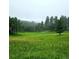 Green field with a stand of healthy trees, with a slight hill in the background at 27888 Richmond Hill Rd, Conifer, CO 80433