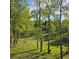 Scenic view of a property with aspen trees and lush green grass, highlighting natural beauty at 27888 Richmond Hill Rd, Conifer, CO 80433