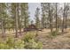 View of house surrounded by tall trees at 31168 Witteman Rd, Conifer, CO 80433