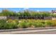 Mercantile Park sign with lush greenery and vibrant flowers, enhancing the park's curb appeal at 3548 Swabuck Pl, Castle Rock, CO 80109