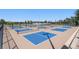 Multiple well-maintained pickleball courts providing ample space for friendly competition and active recreation at 3548 Swabuck Pl, Castle Rock, CO 80109