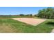 Sand volleyball court bordered by lush greenery, providing space for outdoor sports and recreation at 3548 Swabuck Pl, Castle Rock, CO 80109