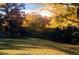 Scenic backyard in autumn with golden leaves and lush green grass under bright sunshine at 6918 E Easter Pl, Centennial, CO 80112