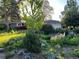Landscaped front yard with mature trees, lush plants and grass at 2 N Jasmine St, Denver, CO 80220