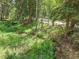 Scenic view of a creek running through a lush, green forest with a dirt road visible on the other side at 11182 S Barney Gulch Rd, Conifer, CO 80433