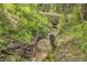 Close up view of a small creek flowing through a lush, green forest with a wooden fence visible at 11182 S Barney Gulch Rd, Conifer, CO 80433