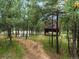 A wooded backyard, set back from the street at 28833 Western Dr, Evergreen, CO 80439