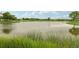 Large tranquil pond surrounded by lush green grass and reeds, creating a serene and picturesque waterscape at 16595 E 110Th Ave, Commerce City, CO 80022