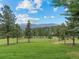 Expansive green lawn with mature trees and mountain views at 127 Granite Way, Evergreen, CO 80439