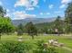 Lush backyard featuring mature trees and flowers with a view of distant mountains at 127 Granite Way, Evergreen, CO 80439